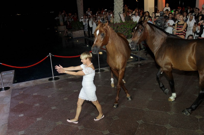 Salsa Night at Eastern Mangroves Hotel and Spa by Anantara
